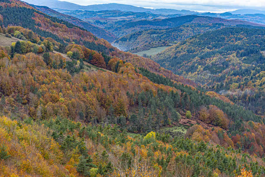 Comunidad Foral de Navarra 147 - valle de Roncal